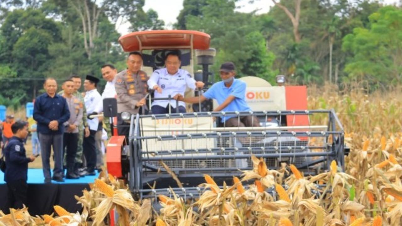 Wakil Gubernur Sumsel Cik Ujang Hadiri Panen Raya Jagung Serentak di OKU Selatan